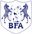 Botswana - Fifa World Cup Qualification Caf 31770 Results