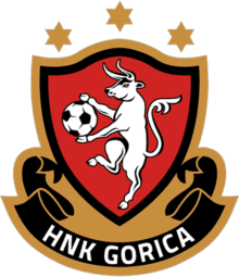 HNK Gorica - Player Medin Gashi 909443 302966 Results