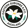 Eastern Suburbs AFC - Team Auckland Fc Reserves 375313 Football Result