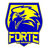 Forte FC - Team Rio Brancoes 303576 Live Score Today