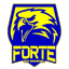 Forte FC - Bra Campeonato Capixaba 33202 Live Score Today