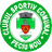 CSC Peciu Nou - Rom Cup 32032 Live Football