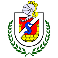 Deportes La Serena - Player J Vargas 207824 303605 Scores