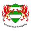 Brickfield Rangers - Wal Cymru Championship 33346 Football Live Score