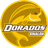 CSyD Dorados de Sinaloa - Player Eugenio Pizzuto 494158 301358 Live Score Today