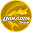 Club Deportivo Dorados de Sinaloa - Team Csyd Dorados De Sinaloa 300643 Live Score Today