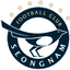 Seongnam FC - Live Kor K 32340