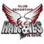 CD Halcones de Rayon - Mex Liga Premier Serie A 32746 Sport