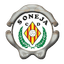 CD Soneja - Stdrfef 32705 Live Score Today