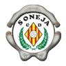 CD Soneja - Team Cd Soneja 362256 Live Score Today