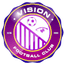 Vision FC - Gha Premier League 32491 Live Football