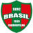 Brasil de Farroupilha - Team Brasil De Pelotas 298166 Football Score