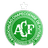 Chapecoense SC - Player Joaquin Torres 218261 303887 Football Result
