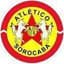 Linense(BRA) - Bra Campeonato Paulista A 32208 Schedule