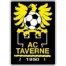 Taverne - Team Young Boys 298866 Sport