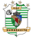 ACS Dumbravita - Live Player Daniel Danu 747084 302186