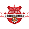 Liaoning Shengjing Xinrui - Team Shanghai Zetian 374621 Football Result