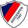 Duzcespor - Team Orduspor 307333 Football Live Score