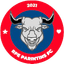 Parintins FC - Bra Amazonas Division 32995 Football