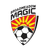 Broadmeadow Magic - Team Brisbane Roar 306577 Football Live Score