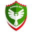 Amedspor - Team Amedspor 312663 Result