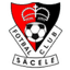 FC Sacele - Rom Cup 32032 Football Live