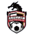 Nanjing Longsheng - Cmcl 33263 Football