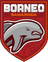Borneo FC - Player Cfreires 254763 331460 Schedule