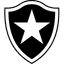 Botafogo RJ - Bra Serie A 32194 Football Score