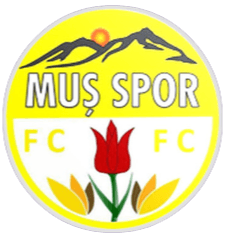 Musspor - Player S Ohawuchi 190021 359328 Football