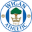 Wigan Athletic - Live Player Raphaelborges Rodrigues 486097 303837