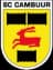 SC Cambuur Leeuwarden - Team Feyenoord 302856 Scores