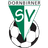Dornbirner SV - Team Fc Wolfurt 308558 Football Score