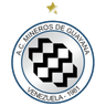 Mineros de Guayana - Team Mineros De Guayana 310864 Football