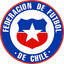 Chile - Fifa World Cup Qualification Conmebol 31769 Live