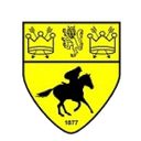 Newmarket Town - Town VS Canvey Island Live Score