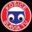 Slavia TU Kosice - Svk Liga 32036 Football Score