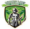 Muang Loei United - Team Khonkaen United 323359 Football Live Score