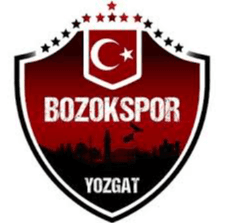 Yozgat Bld Bozokspor - Player M T Babaoglu 212431 368275 Live Result