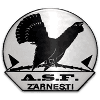 ACS Olimpic Zarnesti - Zarnesti VS Vointa Crevedia Sport