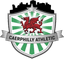Sport in Caerphilly - Wal Cymru Championship 33346 Live Result