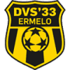 DVS 33 Ermelo - Rijnvogels VS Dvs Ermelo Sport