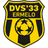 DVS 33 Ermelo - Team Fc Rijnvogels 326844 Scores