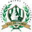 Tsaritsani FC - Gre Gamma Ethniki 32734 Live Result