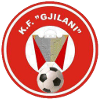 Gjilani - Player Hamdi Namani 573744 303371 Football Result