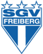 SGV Freiberg - Ger Regionalliga 31895 Live Score Today