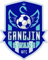 Gangjin Swans Women - Team Hyundai Steel Red Angels W 298305 Football Live Score
