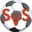 SV Seekirchen - Player Fabian Neumayr 394263 315950 Football