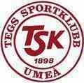 Tegs SK - Arlanda VS Tegs Sk Live Score Today