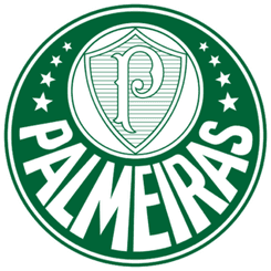 Palmeiras Youth - Player Victor Gabriel Leite Dos Santos 1449482 298088 Scores